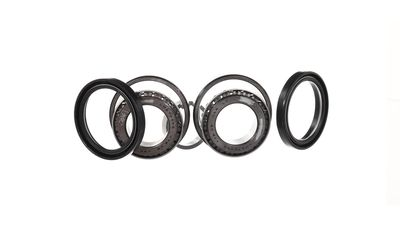 SET RULMENT ROATA SKF VKBA749 2