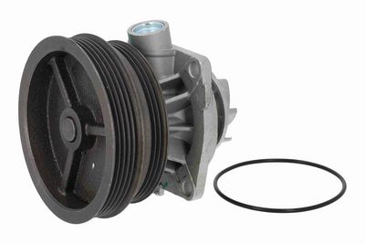 POMPă DE APă RăCIRE MOTOR