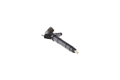 INJECTOR REMANTE 002003002096R 54