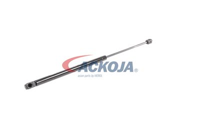 AMORTIZOR PORTBAGAJ ACKOJA A370061 55