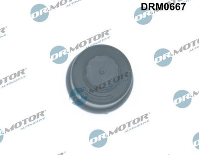 Cap, oil filter housing DRM0667