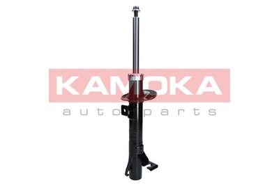 Shock Absorber 2000260