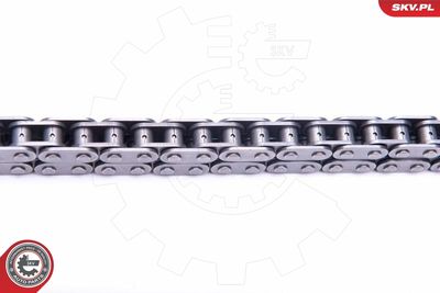 Timing Chain Kit 21SKV130