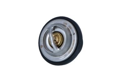 TERMOSTAT LICHID RACIRE NRF 725194 11