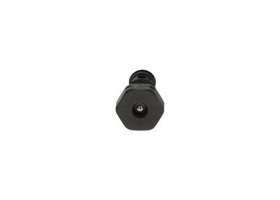 Bosch Fuel Injection System Valve F 00N 202 231