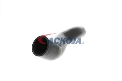 FURTUN EAR SUPRAALIMENTARE ACKOJA A389605 26
