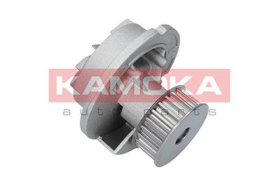 Water Pump, engine cooling T0236