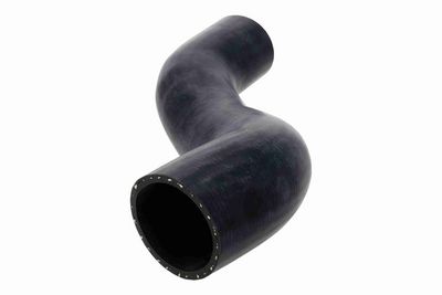 FURTUN EAR SUPRAALIMENTARE ACKOJA A370122 4