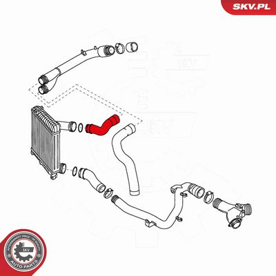 FURTUN EAR SUPRAALIMENTARE ESEN SKV 43SKV165 3