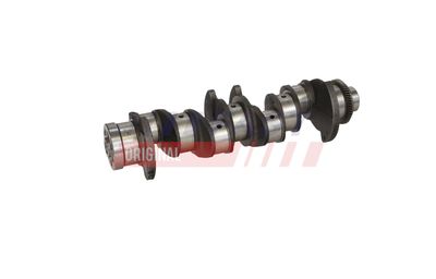 ARBORE COTIT FAST FT51759 20