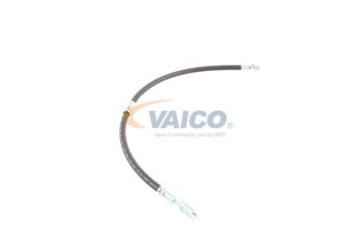 FURTUN FRANA VAICO V103077 51