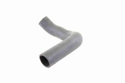 LADELUFTSCHLAUCH VAICO V480062 3