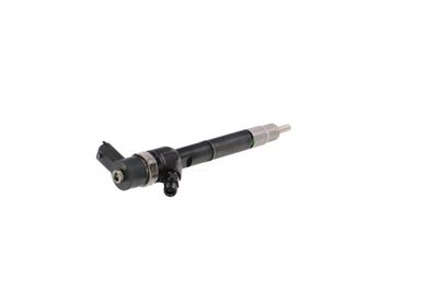INJECTOR REMANTE 002003001713R 32