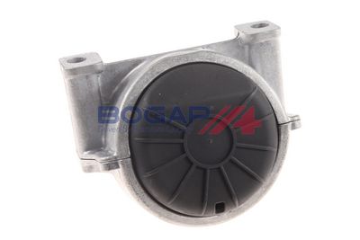 SUPORT MOTOR BOGAP A1911110 4