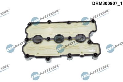 Kryt hlavy válce Dr.Motor Automotive DRM300907