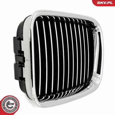 GRILA RADIATOR ESEN SKV 66SKV044 4