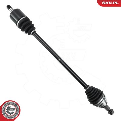 ESEN SKV Pusašis
