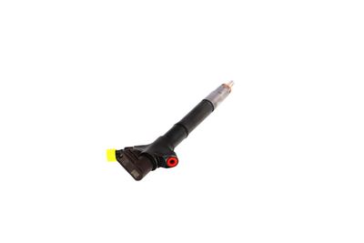 INJECTOR REMANTE 002003002094R 31