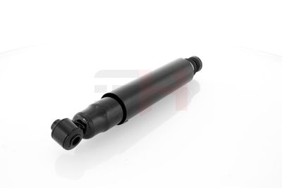 AMORTIZOR GH GH303660 39