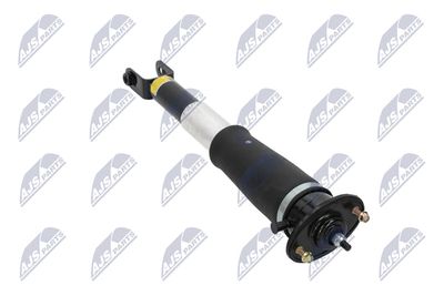 AMORTIZOR NTY ACH006 30