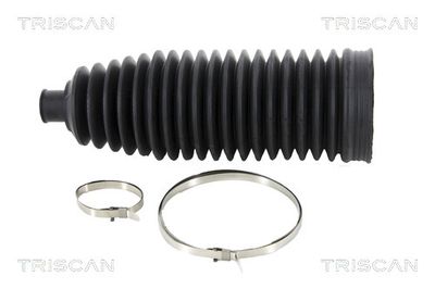 TRISCAN 8500 11008 Пыльник рулевой рейки  для BMW X4 (Бмв X4)