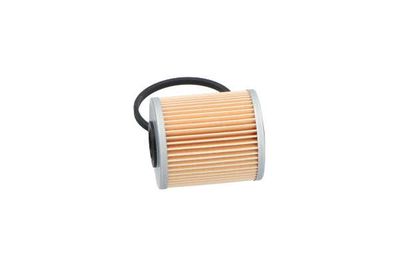 FILTRU COMBUSTIBIL AMC Filter NF2481 18