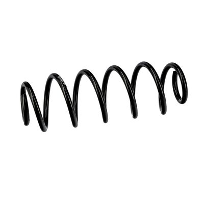 ARC SPIRAL EIBACH R10823 6
