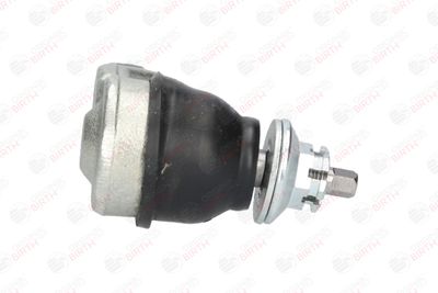 CAP DE BARA BIRTH RS4685 10