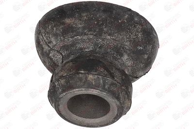 BUCSA ARBORE DE DIRECTIE BIRTH 50006 7