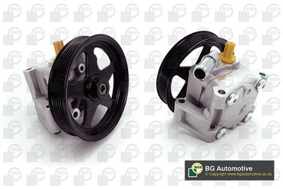 BGA Hydraulic Pump, steering PSP3306