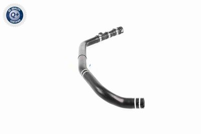 FURTUN RADIATOR VAICO V240849 7