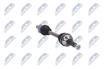 PLANETARA NTY NPWFR073 13