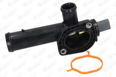 FLANSA LICHID RACIRE BIRTH 81059 7