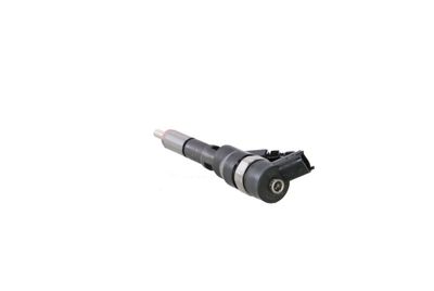 INJECTOR REMANTE 002003000013R 17