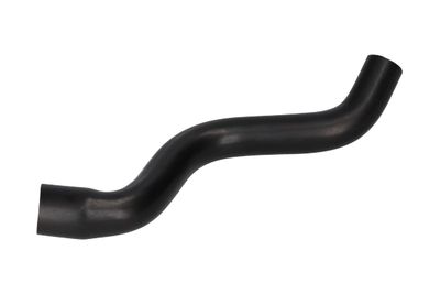 FURTUN ULEI BIRTH 56007 6