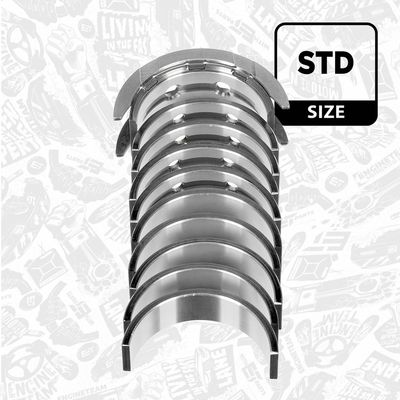 SET RULEMT ARBORE COTIT