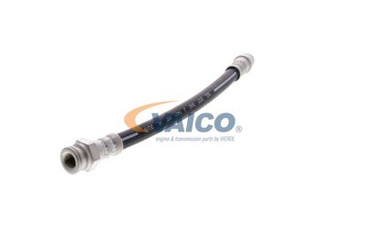 FURTUN FRANA VAICO V220616 18