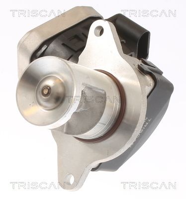 Zawór AGR TRISCAN 8813 23021