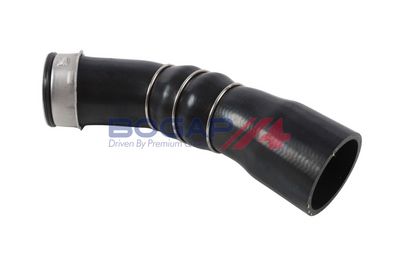 FURTUN EAR SUPRAALIMENTARE BOGAP B1711211 3