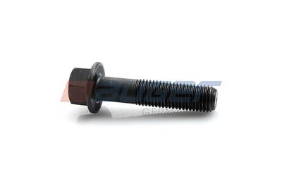 Veerbout M16x2 (lengte bouten 70mm)