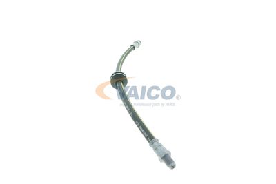 FURTUN FRANA VAICO V240954 37