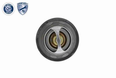 TERMOSTAT LICHID RACIRE VEMO V22990011 5