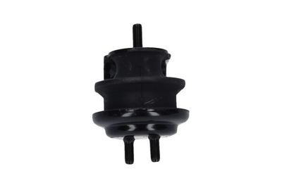 Kavo Parts Variklio montavimas
