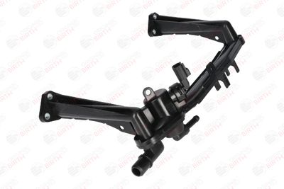 FLANSA LICHID RACIRE BIRTH 81126 11