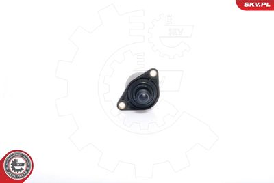 SUPAPA REGLAJ MERS IN GOL ADMISIE AER