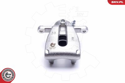 Brake Caliper 55SKV504