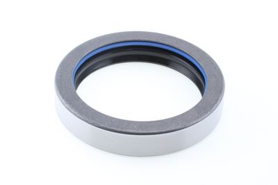 Dichtring