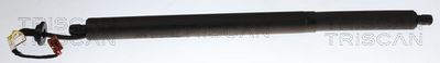 Sprężyna gazowa, pokrywa bagażnika TRISCAN 871014302
