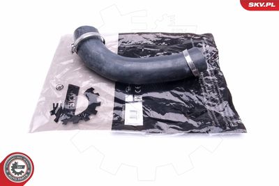 FURTUN EAR SUPRAALIMENTARE