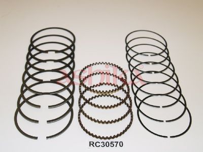SEGMENT PISTON